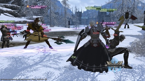 ffxiv_20190322_224829_039