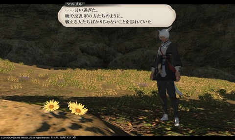 ffxiv_20200606_152504_865