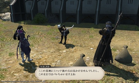 ffxiv_20200618_195544_034
