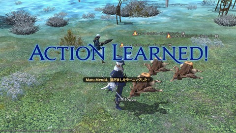 ffxiv_20190119_222717_999