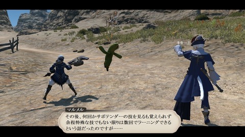 ffxiv_20190119_200346_463