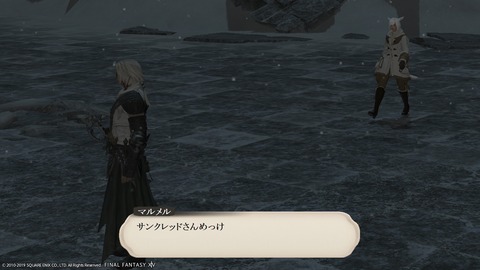 ffxiv_20190322_185950_494
