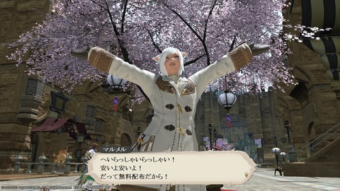 ffxiv_20190302_060454_760