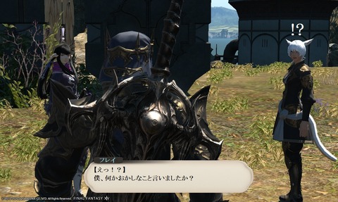 ffxiv_20200618_200056_631