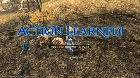 ffxiv_20190119_222717_997