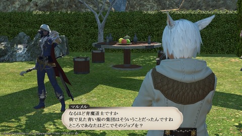 ffxiv_20190119_184210_370