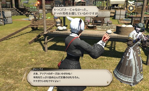 ffxiv_20200625_210908_427