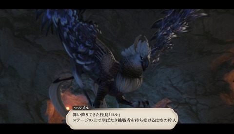 ffxiv_20200723_152650_435
