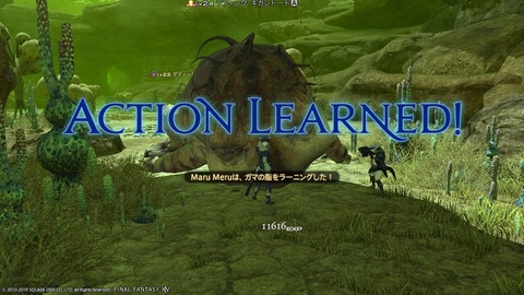 ffxiv_20190119_222717_995
