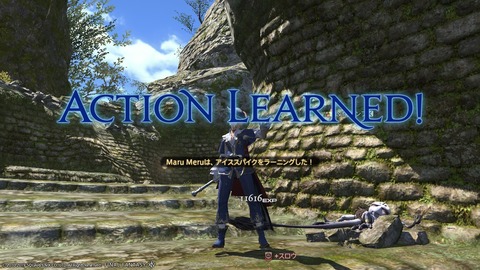 ffxiv_20190119_222717_9945