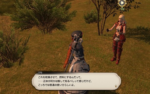 ffxiv_20200627_153007_489