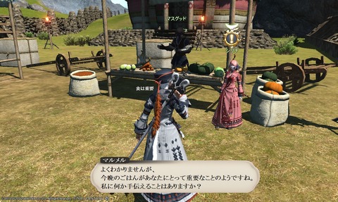ffxiv_20200627_114706_704