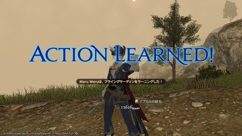 ffxiv_20190119_222717_998