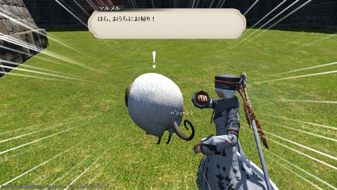 ffxiv_20200724_235858_272
