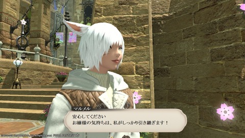 ffxiv_20190302_060454_755