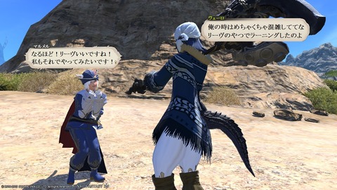 ffxiv_20190119_221328_283