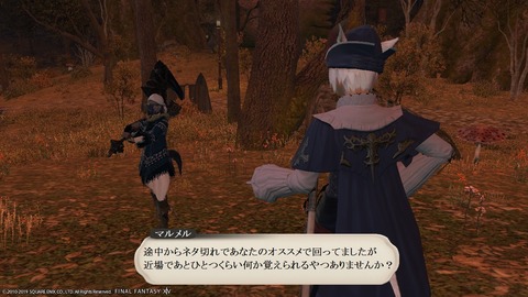 ffxiv_20190119_223315_754