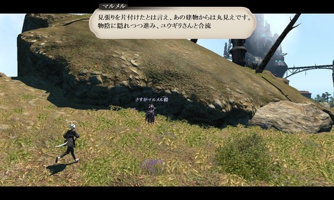 ffxiv_20200617_204817_045