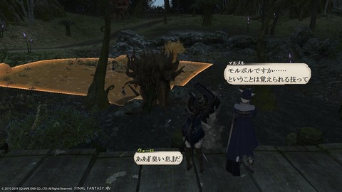 ffxiv_20190119_223714_196