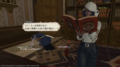 ffxiv_20190119_184922_446