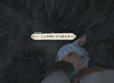 ffxiv_20151227_190737