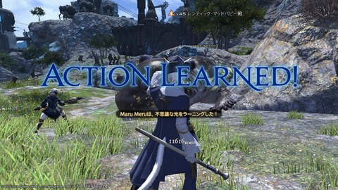 ffxiv_20190119_222717_1000