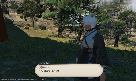 ffxiv_20200606_151327_747