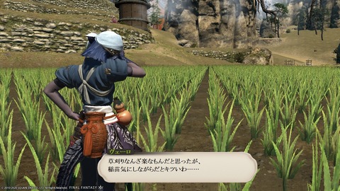ffxiv_20200723_153026_430 (2)