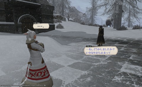 ffxiv_20170513_125506