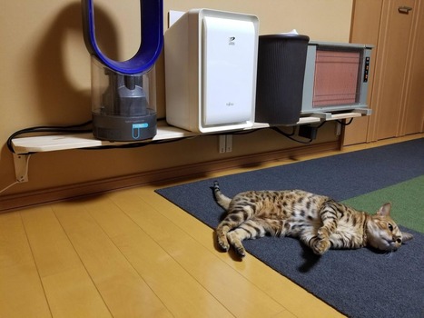 Roomba飼ってるから棚作った（※画像あり）