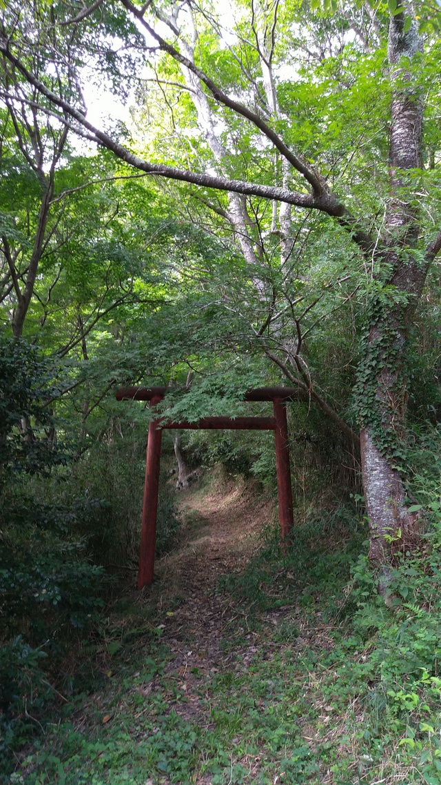 寺巡りって何が面白いんや？