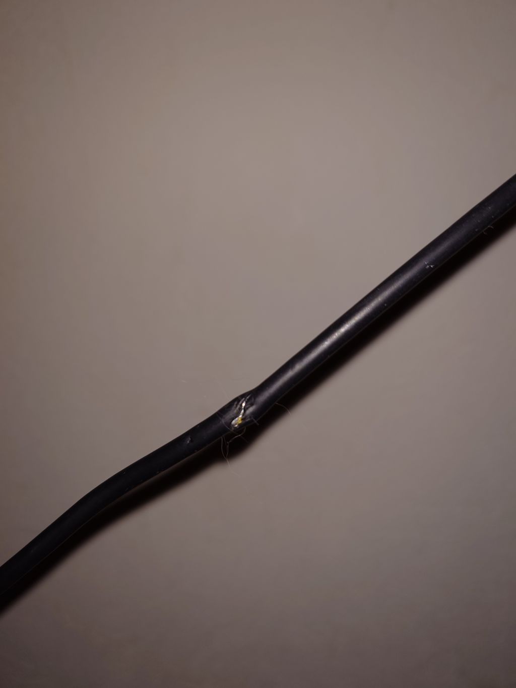 猫にケーブル噛まれたんやがこれってヤバいか？（※画像あり）