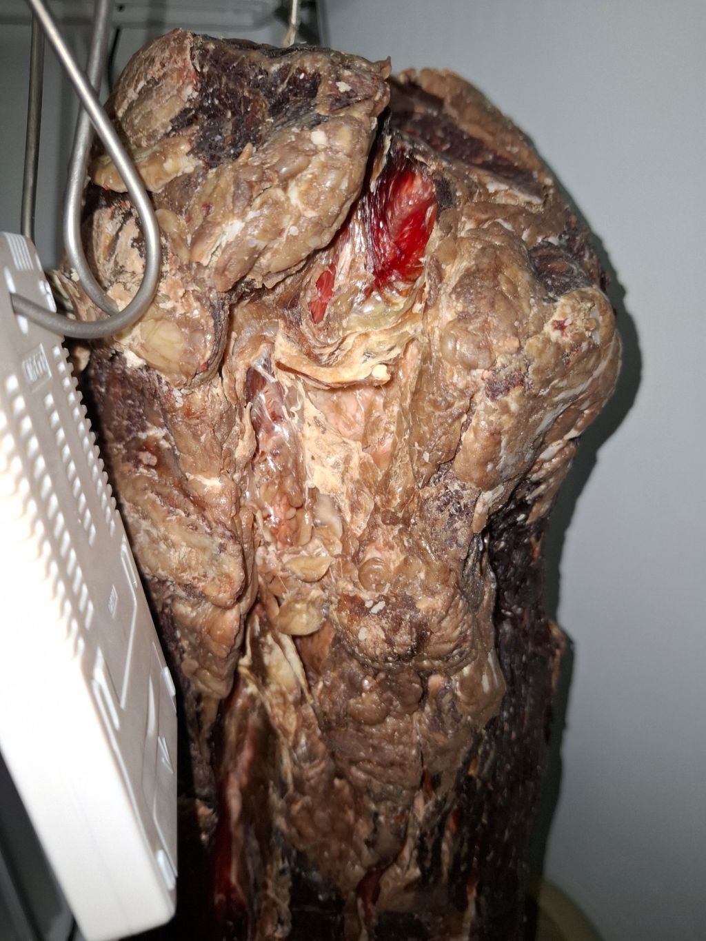 改造した冷蔵庫でドライエイジングビーフ作り始めて10日経った！！！！！！（※画像あり）