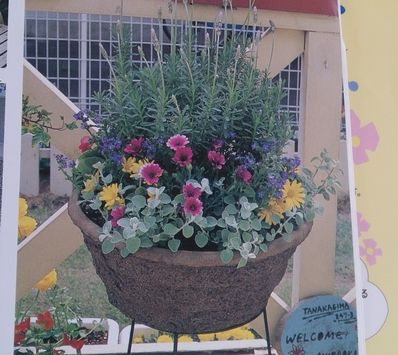 ��ष����ĥ�ä�ȭ�����ޤ�