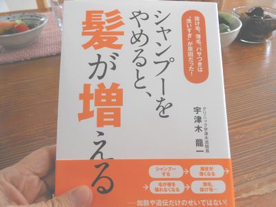 �����ס�����롩