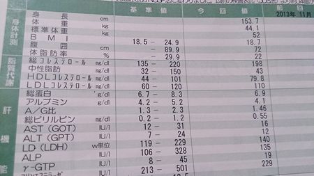 �ʹ֥ɥå��η�̤�ǯ�����Ϥ���