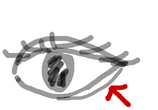 BlogPaint