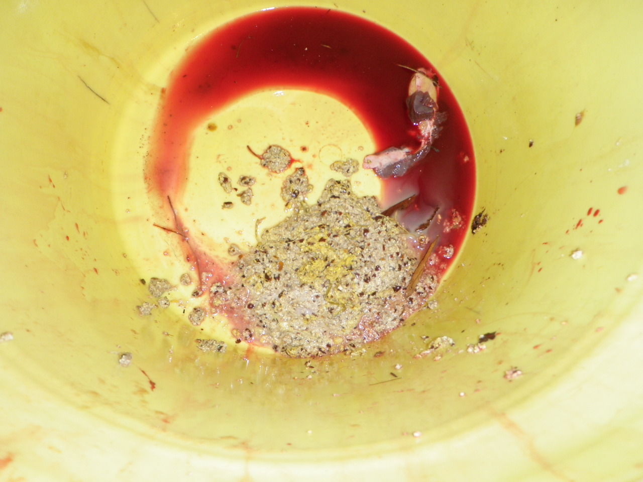 内臓処理 猪２ リアルモンスターハンター