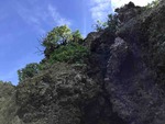 IMG_8055