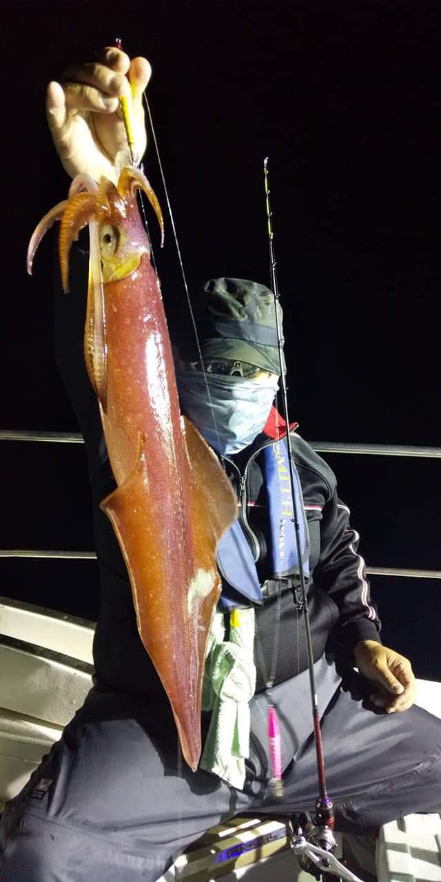夜焚きイカメタル お試し連結スッテ 釣る方連結１２０でイカメタルは６５がトップでデカイパラソル沢山混ざりました 秀幸 船長ブログ