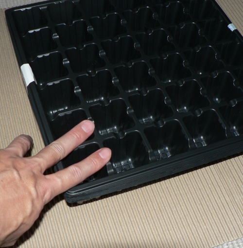 久しぶりに育苗用セルトレイにトライしてみる ともぞうの日本の週末農業考察ぶろぐ 久しぶりに育苗用セルトレイにトライしてみる ともぞうの日本の週末農業考察ぶろぐ