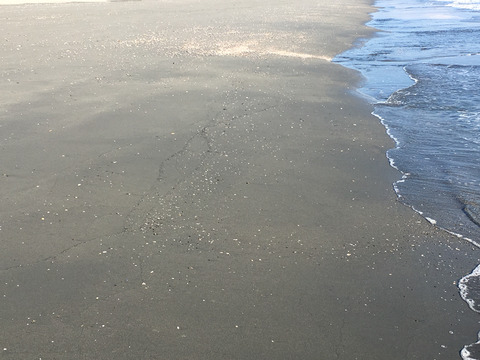 2016-11-11-09-05-59
