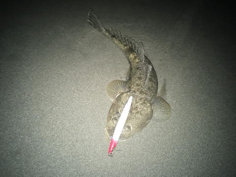 2016-11-09-17-31-27