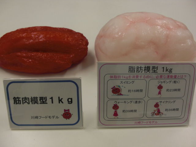 筋肉模型 脂肪模型 1kg 川崎フードモデル 筋肉模型 脂肪模型 1kg 川崎フードモデル Amazon.co.jp: 【病院食
