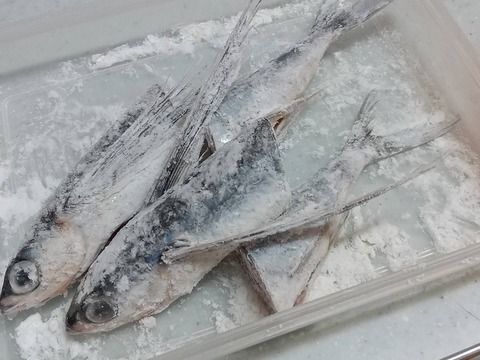 トビウオのから揚げ (4)