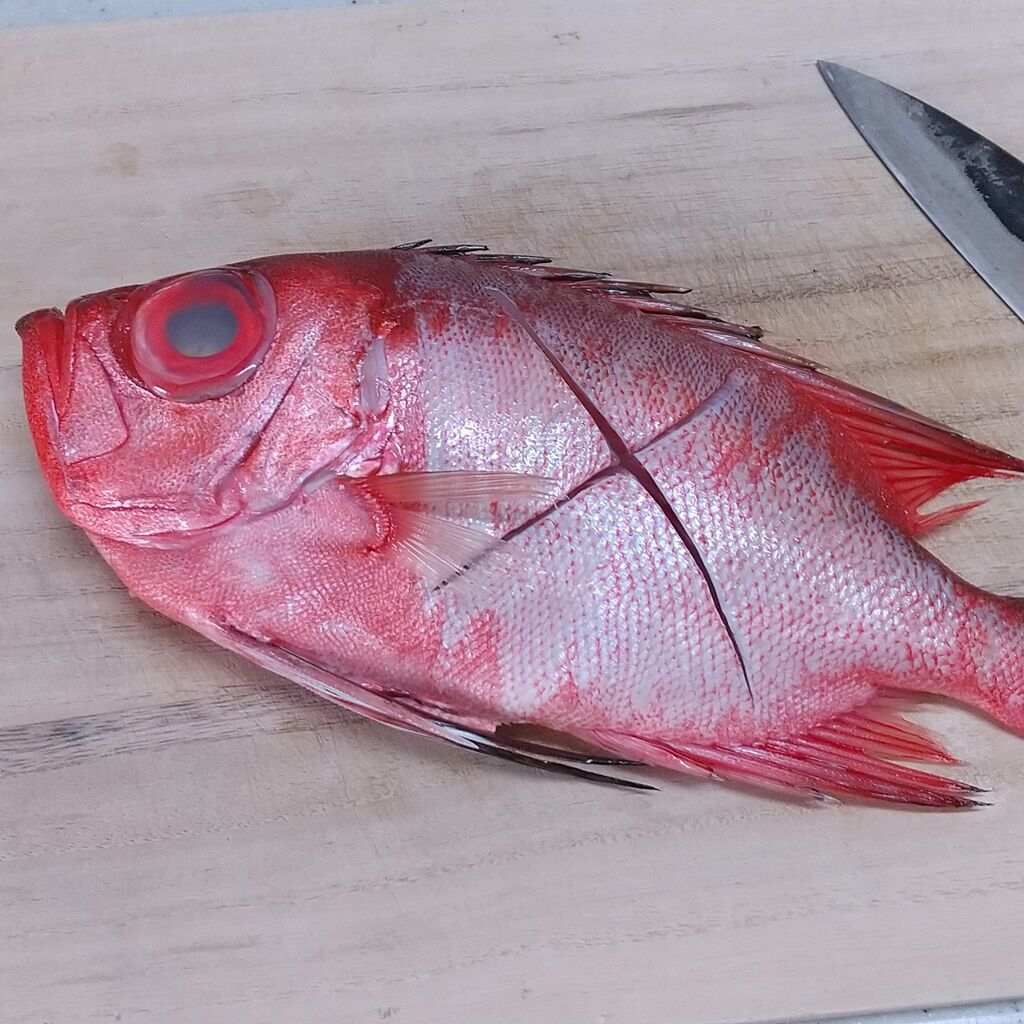 煮つけの黄金比で作る 金目鯛の煮付け 前日作り置きで 忙しい日の夕食にも 魚料理 煮魚 作り置き 半調理 Syuntaroの 食の荒野を彷徨う 煮つけの黄金比で作る 金目鯛の煮付け 前日作り置きで 忙しい日の夕食にも 魚料理 煮魚 作り置き 半調理 Syuntaroの 食の荒野を彷徨う