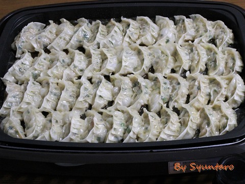 ホットプレート餃子