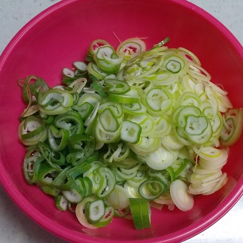 ねぎ焼きあまねちゃん (3)