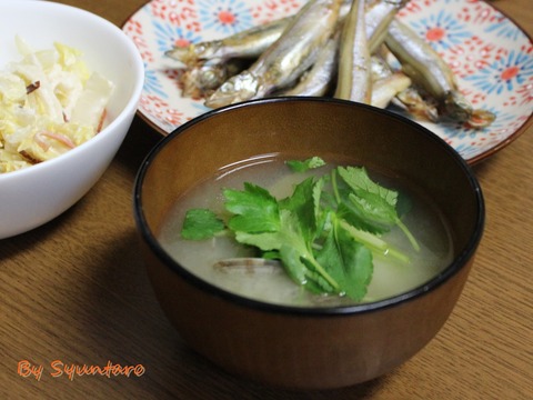 あさり味噌汁三つ葉入り (1)