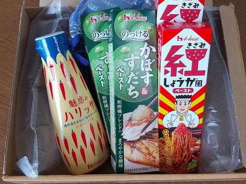 ハリッサポークライス (2)